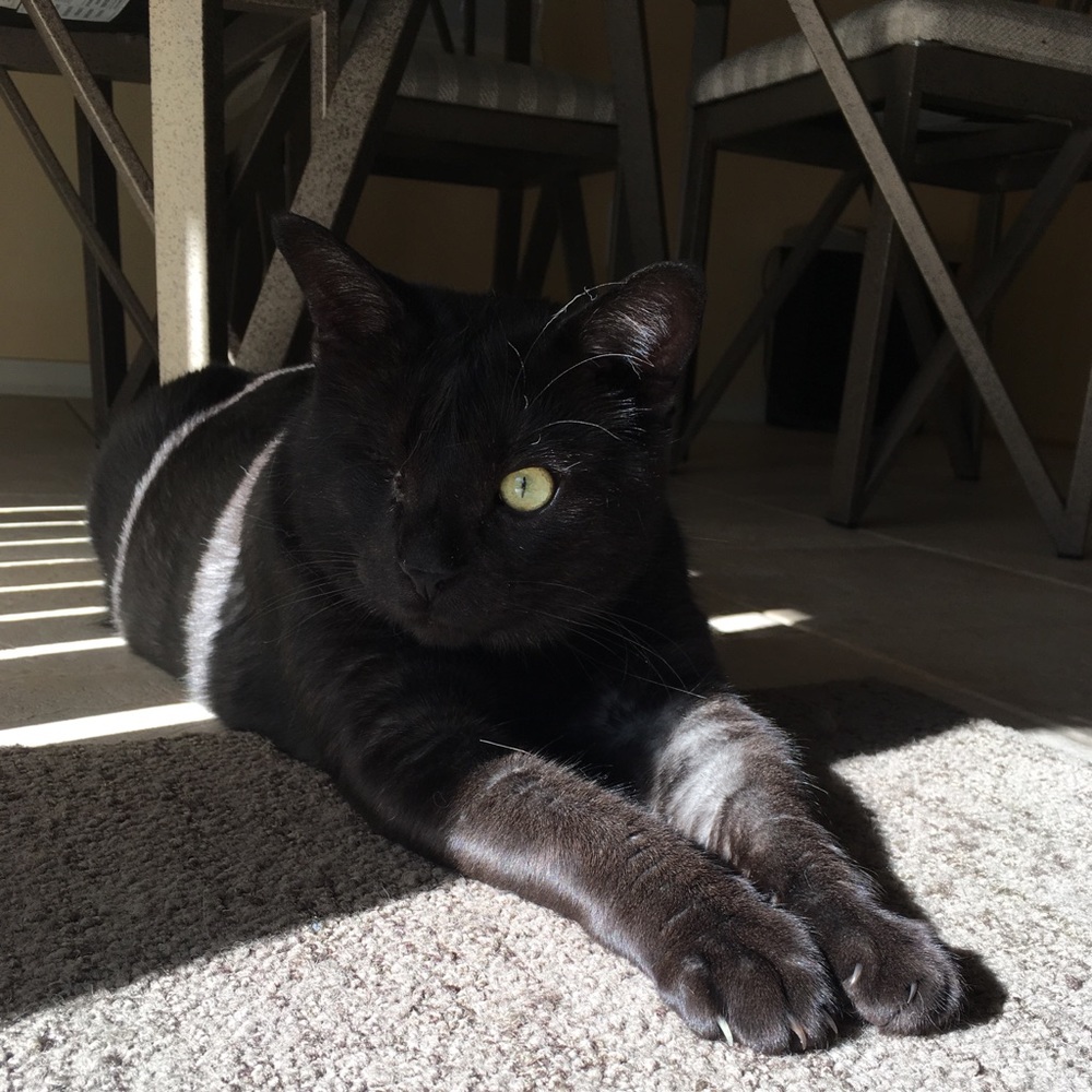 Meet your Posher, Karen